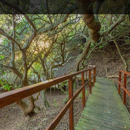 מלון Moquini House ווילדרנס מראה חיצוני תמונה